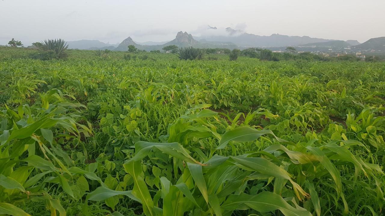 Cote De France Acomodação com café da manhã Fundura Exterior foto