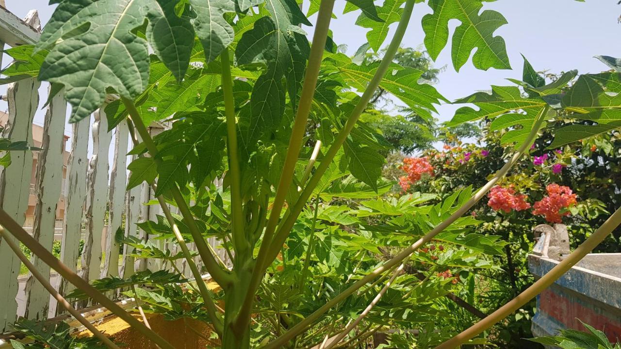 Cote De France Acomodação com café da manhã Fundura Exterior foto