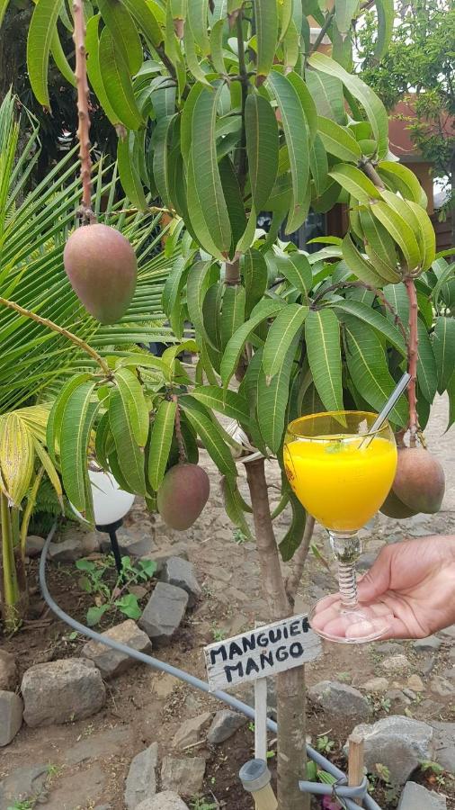 Cote De France Acomodação com café da manhã Fundura Exterior foto